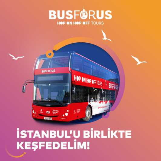 2 Days – 2 Routes – Unlimited Istanbul Experience - The Blue and Red Routes: How to Avoid the Most Common Trap