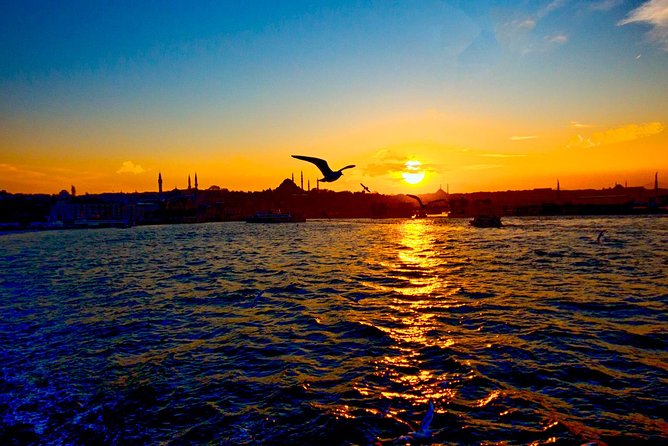2-Hour Private Luxury Yacht Cruise on Bosphorus with Transfers - Drinks, comfort, and pacing: what a ~3-hour private cruise feels like