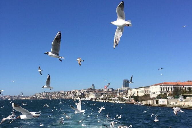 2-Hour Private Luxury Yacht Cruise on Bosphorus with Transfers - Private means small-group energy, not a shared scramble