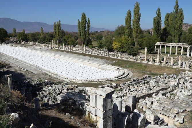 5 days Private Tour of Western Turkey (Troy-Pergamon-Ephesus-Didyma-Pamukkale) - Day 4: Priene, Miletus, and Didyma’s Temple of Apollo for the “lesser-known” classics