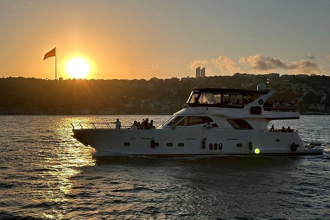 Afternoon Bosphorus Cruise Luxury Yacht with Professional Guide - Maiden’s Tower, Galata Bridge, and Galata Tower: Istanbul’s skyline story