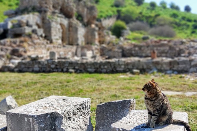 All Inclusive Private Ephesus Day Trip from Istanbul by Plane - What private guiding feels like at Ephesus