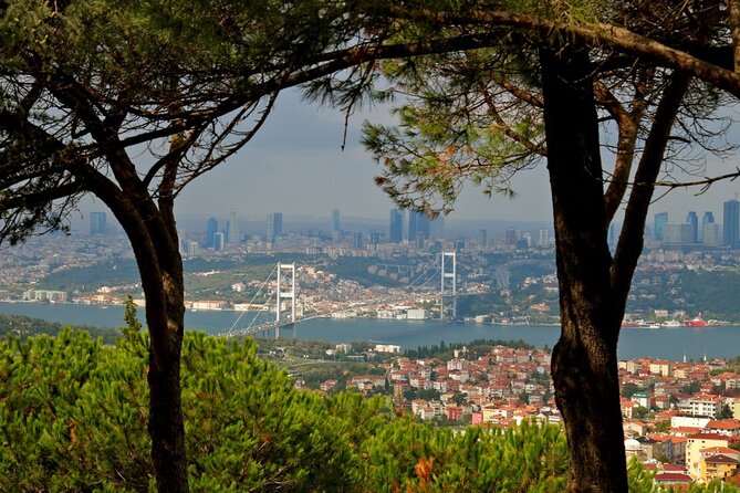 Asian Side of Istanbul Tour - Half-Day Small Group Tour - Beylerbeyi Palace: Ottoman Summer Life Under the Bridge