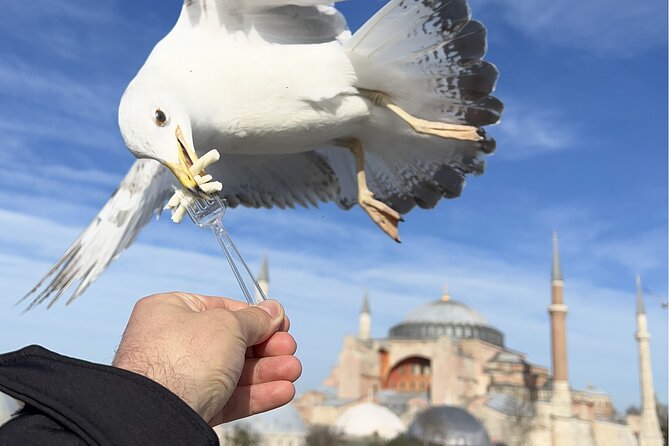 Best of Istanbul City Full-Day Tour with Transfers - Transfers First: How the Pickup Changes Your Day