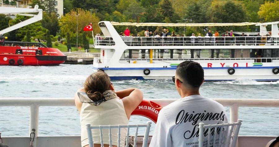 Best of Istanbul in 1 Day: Guided Tour with Bosphorus Cruise - Sultanahmet Under a Licensed Guide: Square, Blue Mosque, and Hagia Sophia
