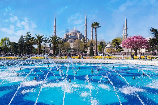 Blue Mosque and Sultanahmet Tour - Sultanahmet Square in 45 minutes: what this tour does best