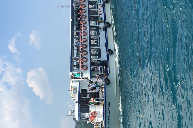 Bosphorus Cruise With Dolmabahçe Palace and Fortresses - Getting started in Sultanahmet or Taksim without wasting time