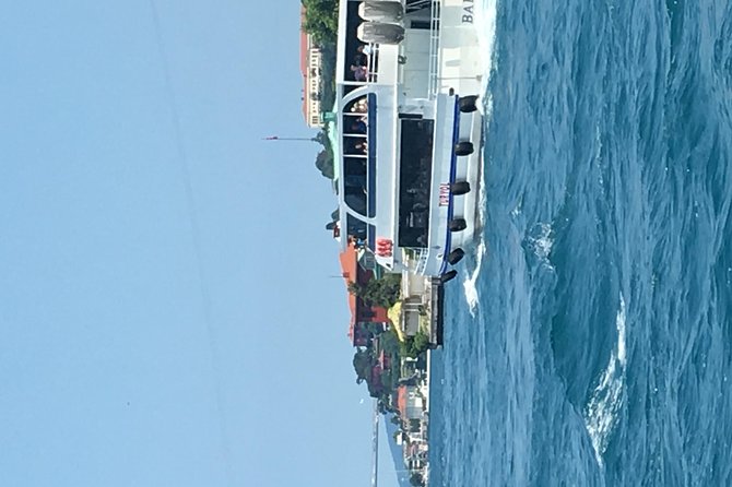 Bosphorus Cruise With Dolmabahçe Palace and Fortresses - The Bosphorus cruise: 90 minutes of Europe-meets-Asia views