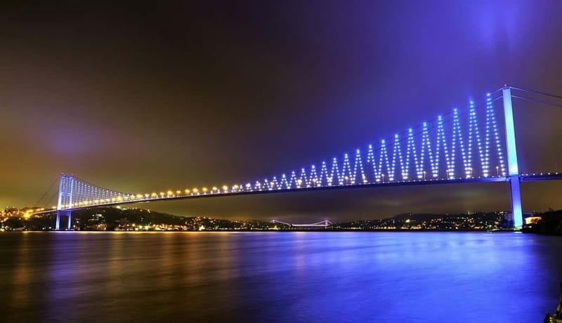Bosphorus Dinner Cruise & Turkish Night with Live Shows - Dinner on board: mezes, mains, and soft drinks