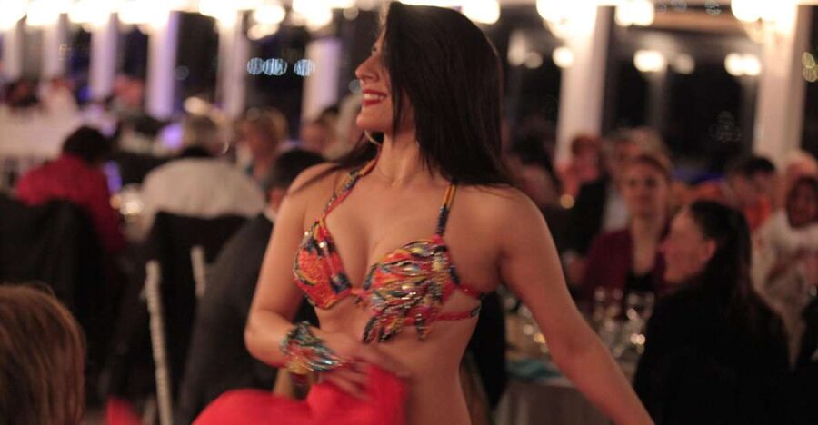 Bosphorus Dinner Cruise with Live Performances Experience - Who this tour suits best (and who should skip it)