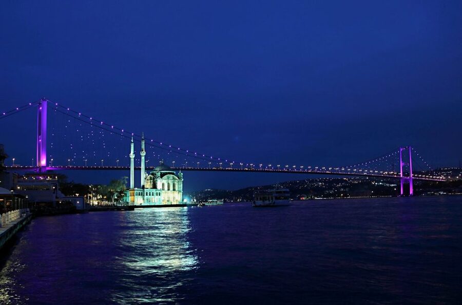 Bosphorus Dinner Cruise with Live Performances Experience - Price and value: what $41 buys in Istanbul