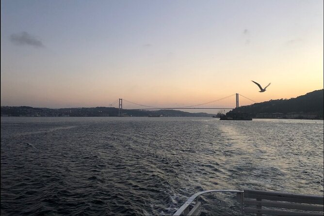 Bosphorus Explorer: 3-Hour Cruise with Asian Side Visit - Rumeli Hisarı and Anadolu Hisarı: Ottoman fortresses from a strategic angle