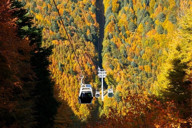 Bursa And Uludağ Tour From İstanbul with Cable Car & Lunch - First Stop in Bursa: Turkish Delight Break and Getting Your Bearings