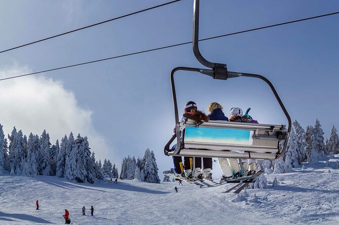 Bursa and Uludağ Tour from İstanbul with Lunch & Cable Car - From Istanbul Pickup to the Pendik Ferry: Your Morning Starts Easy