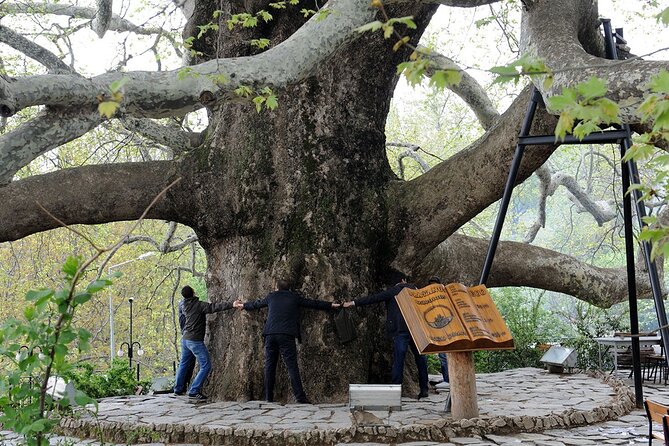 Bursa Day Trip from Istanbul - Uludag National Park and the 30-minute cable car ride