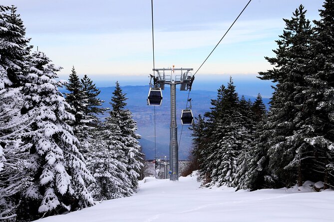 Bursa Day Trip from Istanbul with Uludag Cable Car Experience - Uludag National Park: 600-year-old plane tree, lunch, then mountain time