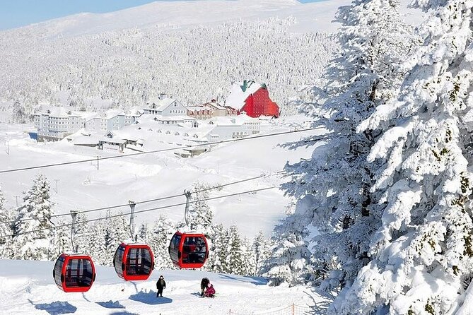 Bursa Uludag Tour From Istanbul with Lunch - Uludağ National Park lunch: included, but don’t expect a long sit-down meal