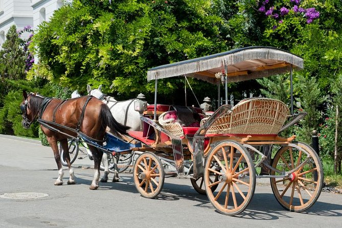 Buyukada Princes’ Island Guided Day Tour with lunch from Istanbul - From Taksim pickup to the dock: how the day starts