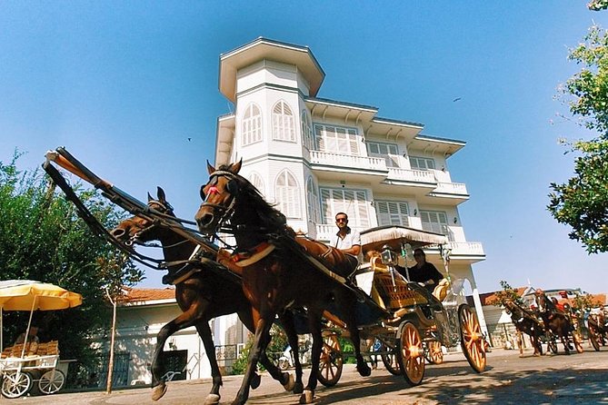 Buyukada Princes’ Island Guided Day Tour with lunch from Istanbul - Horse-drawn carriage ride: fun, but timing and ethics matter