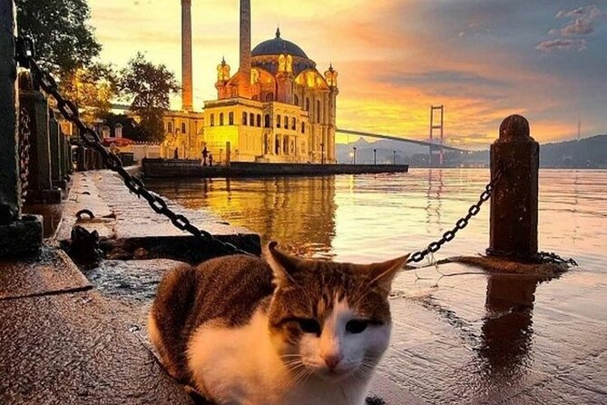 Circle Istanbul (Extraordinary Istanbul) - Lunch in Kadıköy and the Balat Jewish Quarter Walk