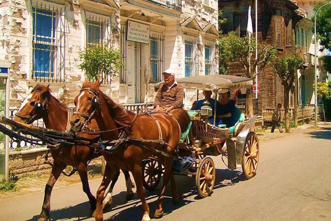 Cruise to the Princes' Islands - Your free afternoon on Büyükada: choose your flavor