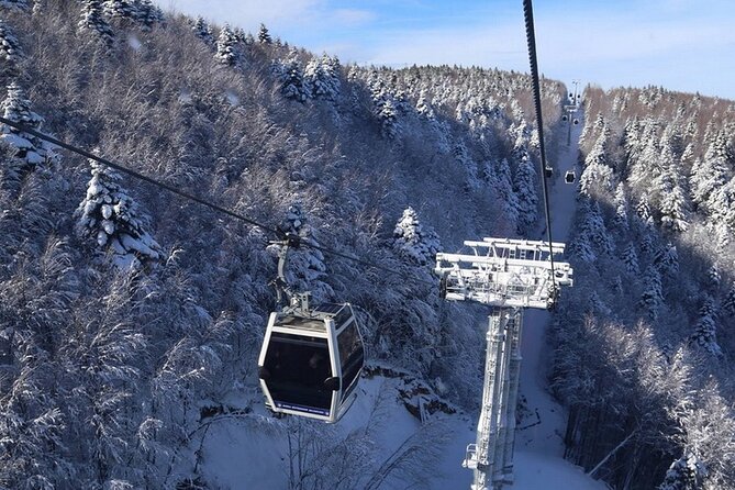 Daily Bursa Uludag Mountain & Cable Car Tour with Lunch from Istanbul - Bursa in short bursts: Green Tomb and Green Mosque