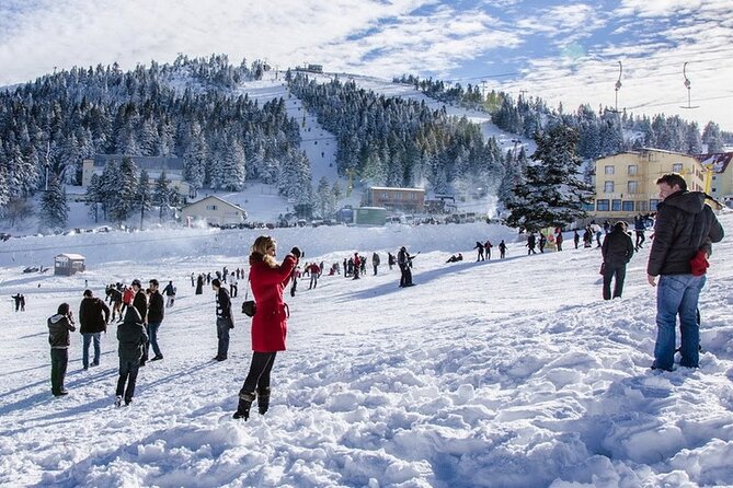Daily Bursa Uludag Mountain & Cable Car Tour with Lunch from Istanbul - Price and value: what $50.57 includes (and what it doesn’t)