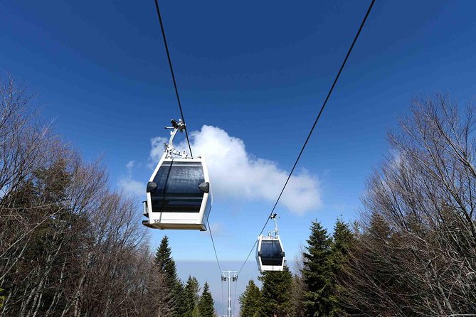 Daily Green Bursa Tour From Istanbul - Uludağ National Park: The Best Use of Your Time