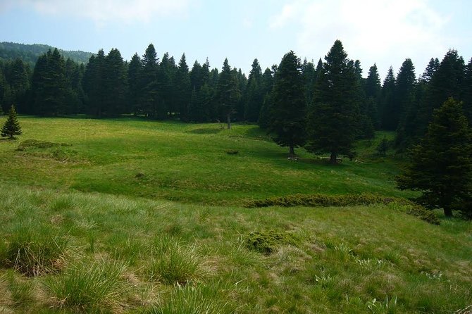 Daily Green Bursa Tour From Istanbul - Lunch and Mountain Break: Budget Wisely for Drinks