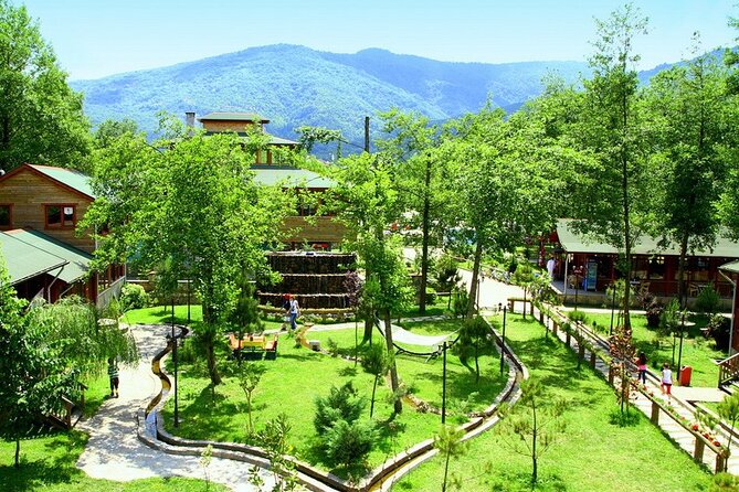 Daily Sapanca & Maşukiye & Mahmudiye Tour with Lunch from Istanbul - Price and Logistics: What $29.80 Really Buys