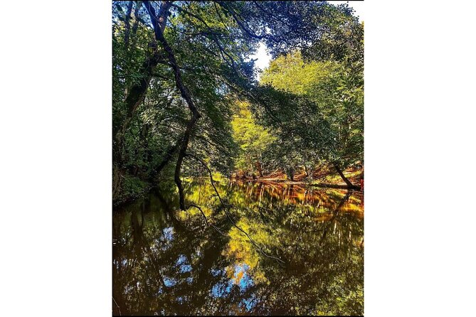 Discover Secret Lakes by Private Hiking Tour (w/Lunch, Transfers) - Belgrad Forest Breaks: Coffee/Tea Near the Trees