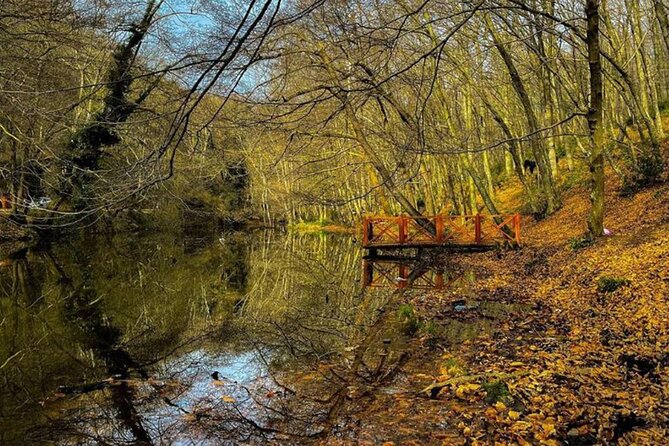 Discover Secret Lakes by Private Hiking Tour (w/Lunch, Transfers) - Pickup at Taksim, Then Straight Into Nature