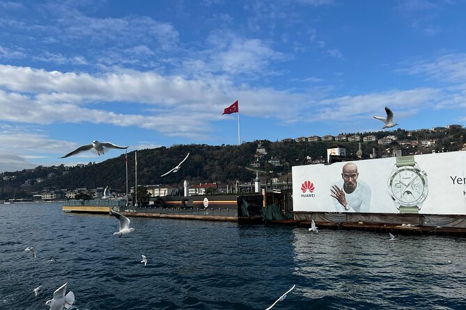 Experience Istanbul: Scenic Bosphorus Cruise with Delicious Lunch - Art stop on the route: the Istanbul Painting Museum and Mimar Sinan