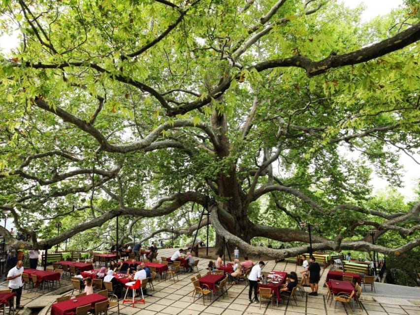 From Istanbul: Bursa Day Trip with Lunch and Transfers - Uludağ National Park and lunch in a valley setting