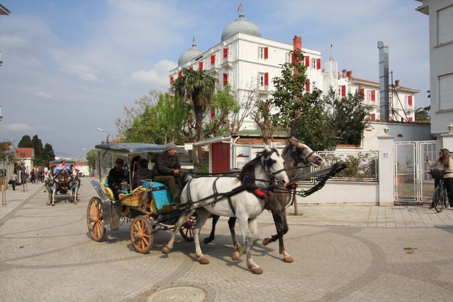 From Istanbul: Full-Day Princes Island Tour with Lunch - Key Things That Make This Tour Worth Your Time
