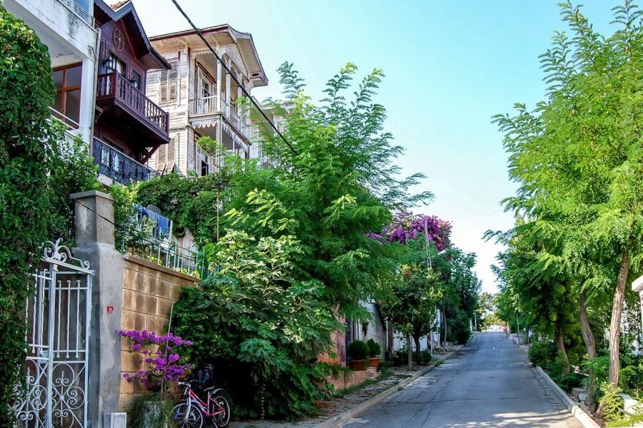 From Istanbul: Full-Day Princes Island Tour with Lunch - Kınalıada: a photo stop plus a short taste of island life