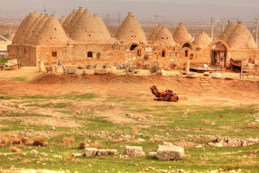 From Istanbul: Gobeklitepe Day Tour - Who this tour is best for