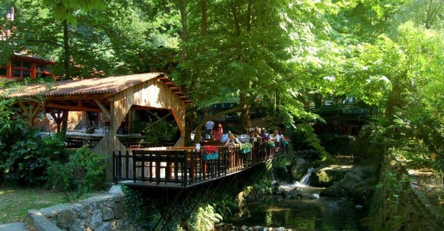From Istanbul: Guided Day Trip to Sapanca and Masukiye - Swapping Istanbul for Sapanca and Masukiye: what this day trip is really like