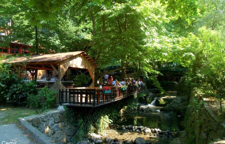 From Istanbul: Guided Day Trip to Sapanca and Masukiye - Sapanca Zoo: animal watching with a care-focused angle