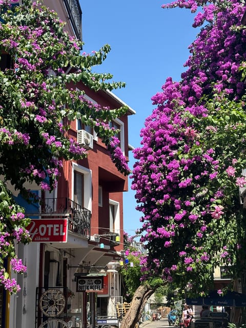 From Istanbul: Princess Islands Guided Tour - Value check: is $24 worth a full day?