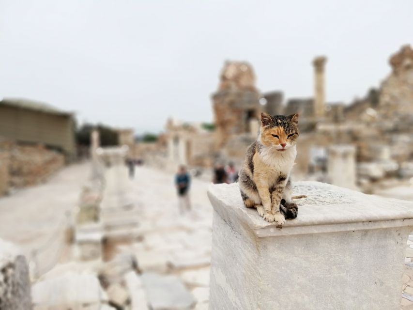 From Istanbul: Private Guided Day Trip to Ephesus with Lunch - Temple of Artemis: One of the Seven Wonders, Up Close