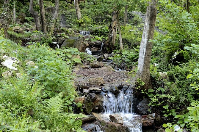 From Istanbul: Sapanca and Masukiye Day Trip with Lunch - Lunch at a local restaurant near waterfall scenery