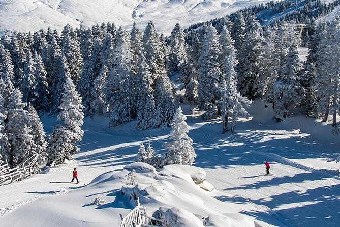 Full Day Bursa Tour with Cable Car & lunch from Istanbul - Bursa in one long day: what you’re really signing up for