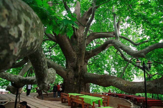 Full Day Bursa Tour with Cable Car & lunch from Istanbul - Getting picked up (and why the group format changes your day)