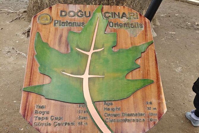 Full Day Guided Tour to Bursa and Uludag - Bursa Sweet Stops: Turkish Delight Factory, Honey Shop, and the 610-Year Plane Tree