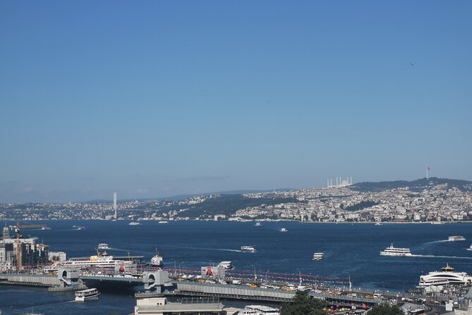 Full Day Istanbul Bosphorus Cruise and Dolmabahce Palace Tour with Private Guide - Dolmabahçe Palace: Balyan Family, Baroque-Rococo Style, and the Harem