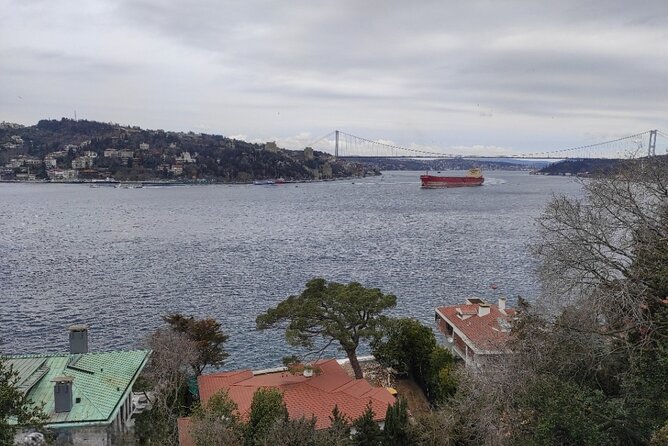 Full Day Istanbul Bosphorus Cruise and Dolmabahce Palace Tour with Private Guide - Transportation Reality: Pickup, Trams, and Smooth Transfers