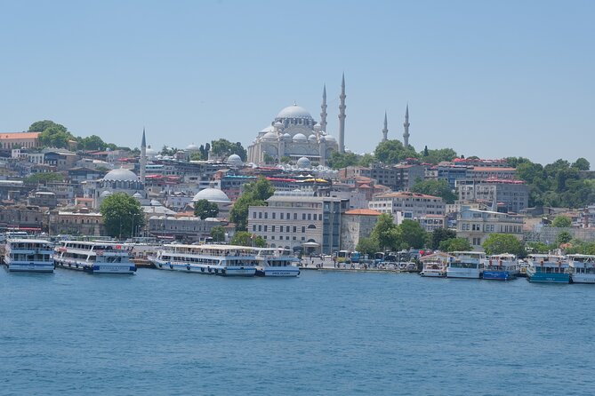 Full Day Istanbul Bosphorus Cruise and Dolmabahce Palace Tour with Private Guide - How Much Value Are You Getting for $250 Per Group?