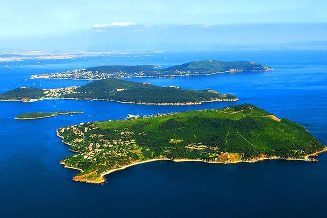 Full Day Istanbul Princes’ Islands Tour with Lunch - Electric-Car Wagon on a Car-Free Island