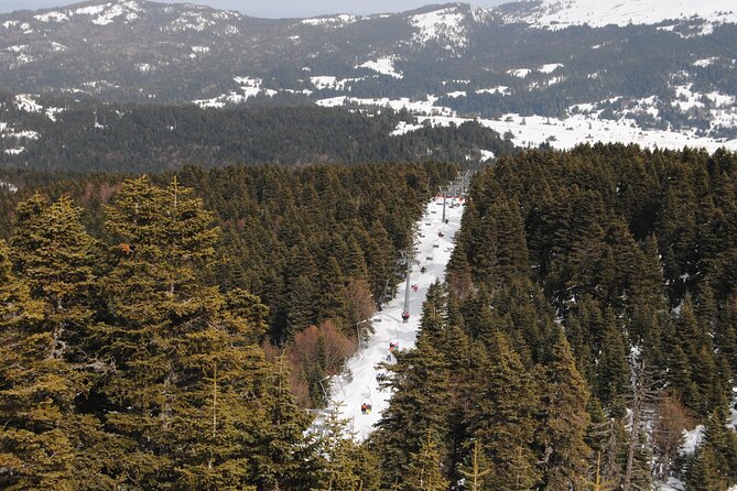 Full-Day Istanbul to Bursa Excursion With Cable Car - Yalova Province stop: a scenic break with optional chair lift and ATV